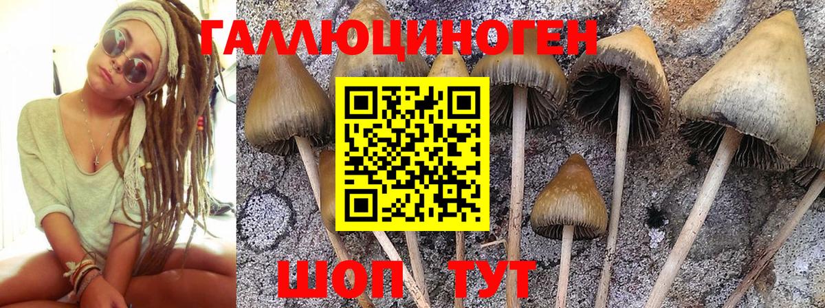 сколько стоит  Галлюциногенные грибы Cubensis  Вход с VPN  Урай 
